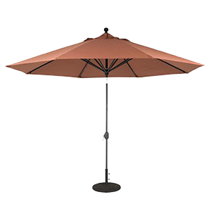 Market Umbrella