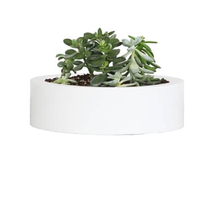 York Low 12″ Round Large Planter