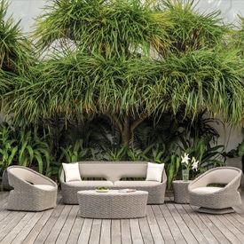 Biscayne by Kingsley Bate